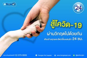 รพส.ทองหล่อ เปิดบริการ Vet Online Consult ลดเสี่ยง COVID-19 ให้คำปรึกษาเบื้องต้น ไม่คิดค่าใช้จ่าย