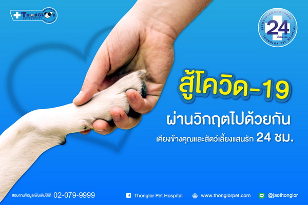 รพส.ทองหล่อ เปิดบริการ Vet Online Consult ลดเสี่ยง COVID-19 ให้คำปรึกษาเบื้องต้น ไม่คิดค่าใช้จ่าย