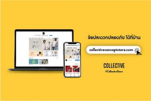 คอลเลคทีฟ (COLLECTIVE)