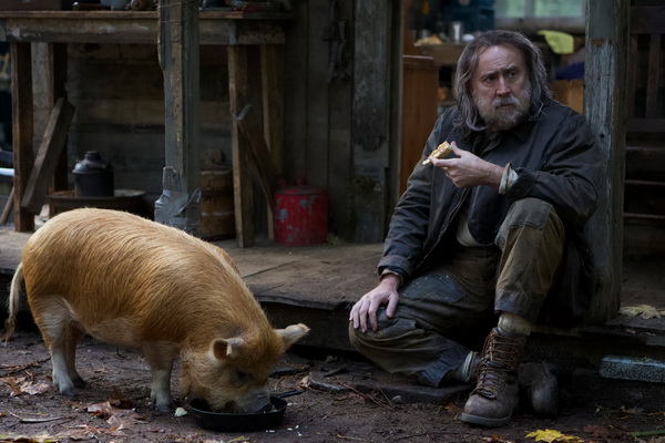 PIG