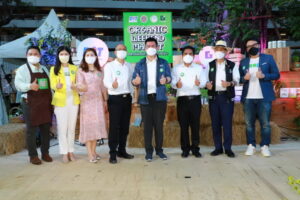 กรมการค้าภายใน